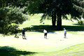 Jamison-Reppert-Golf 06.13.24