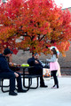 Trick Treat downtown 27-Oct-24