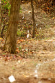 Cross Country Race 30-Sep-25