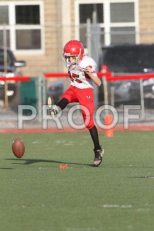 IMG_2702 (Large)