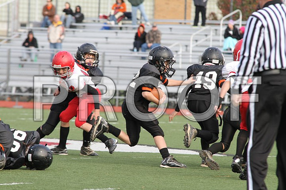 IMG_0381 (Small)