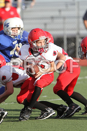 IMG_2601 (Large)