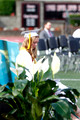 BHS Grad Day! 2024