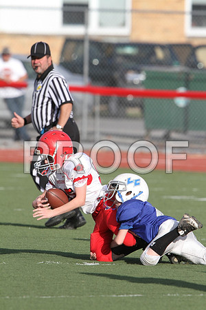 IMG_2598 (Large)