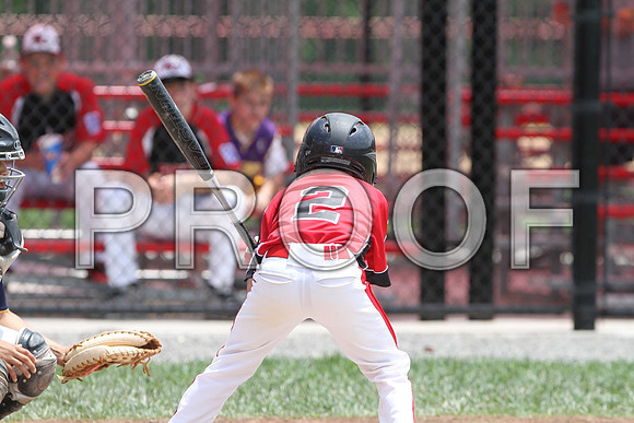 IMG_0546 (Large)