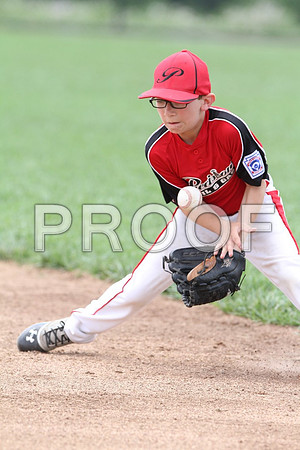 IMG_0498 (Large)