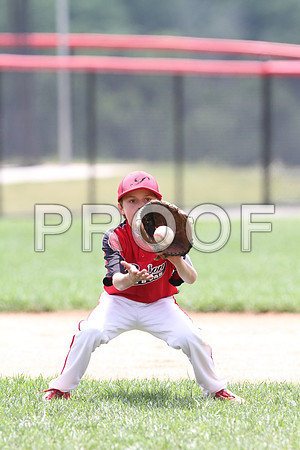 IMG_0469 (Large)