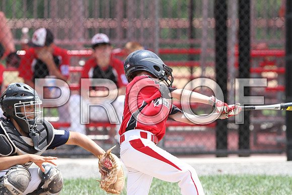 IMG_0545 (Large)