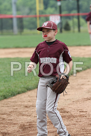 IMG_0315 (Large)