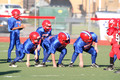 Pee Wee Red 9/1/13