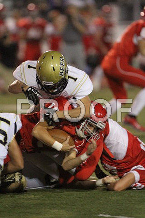 IMG_6761 (Small)