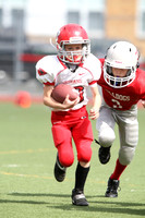 2D5H1993 (Large)