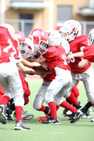 2D5H1987 (Large)