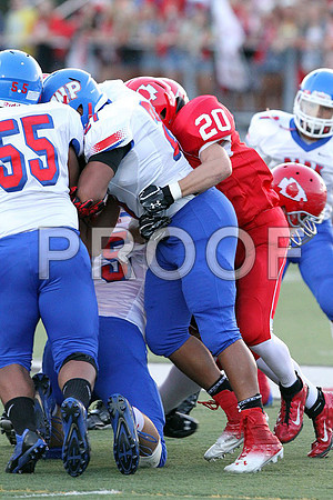 IMG_2919 (Large)