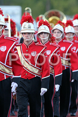 IMG_2851 (Large)