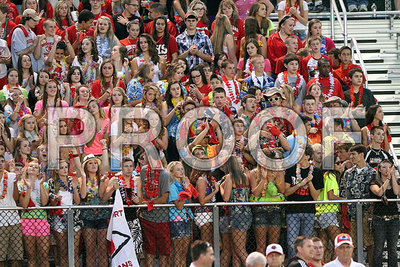 IMG_3017 (Large)