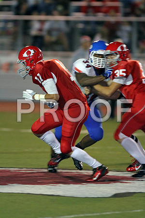 IMG_3098 (Large)