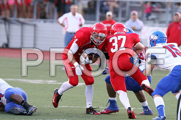 IMG_2940 (Large)