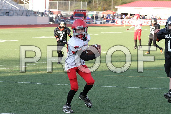 IMG_0417 (Small)
