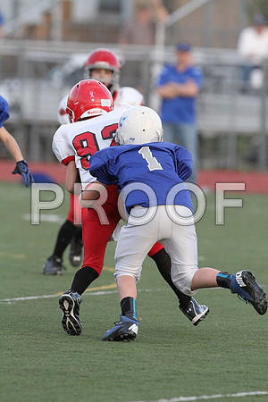 IMG_2842 (Large)