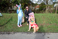City Trick Treat Dog Walk 2026