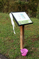 City Trick Treat Dog Walk 2026