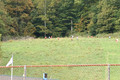 Harrison County X Country Meet 30-Sep-26