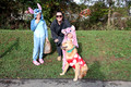 City Trick Treat Dog Walk 2026