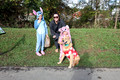City Trick Treat Dog Walk 2026