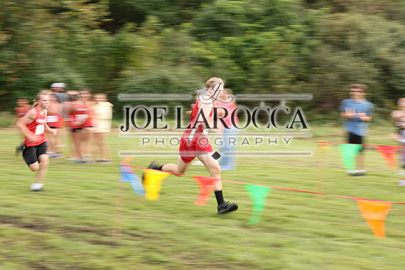 DO6A0442