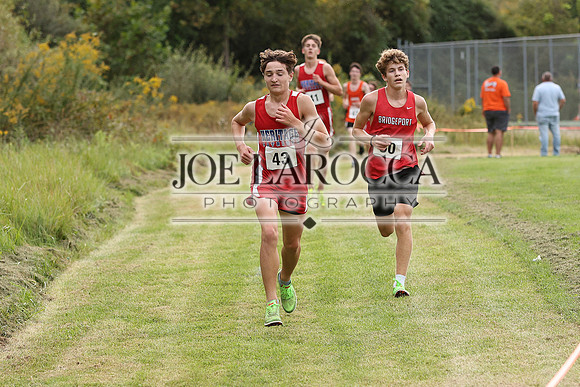 DO6A0291