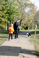 City Trick Treat Dog Walk 2026