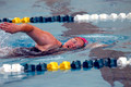 Bridge Tri Run 08.03.24