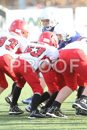 IMG_2656 (Large)