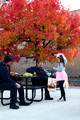 Trick Treat downtown 27-Oct-24