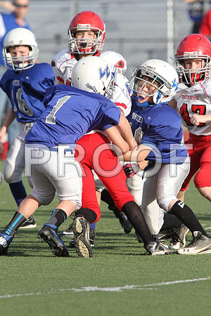 IMG_2592 (Large)