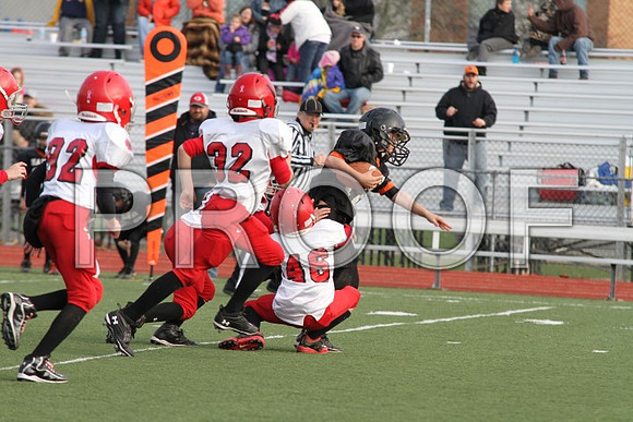 IMG_0391 (Small)