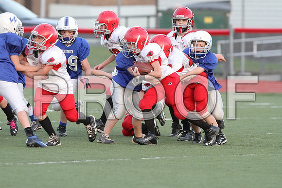 IMG_2872 (Large)