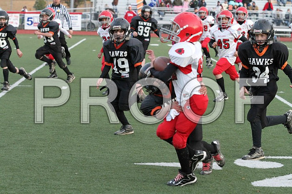 IMG_0465 (Small)