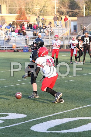 IMG_0442 (Small)