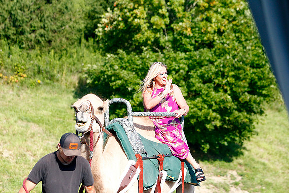 _Z4F6753