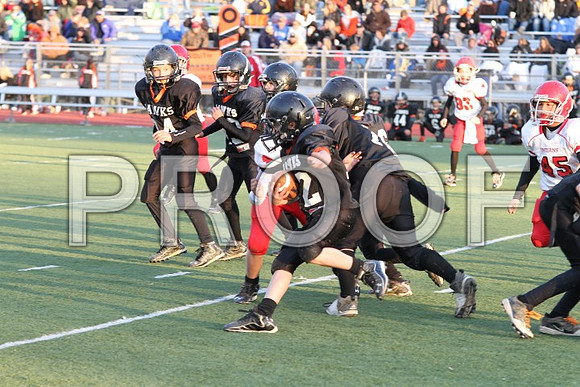 IMG_0445 (Small)