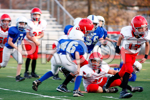 _MG_6701 (Large)