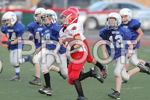 IMG_2877 (Large)
