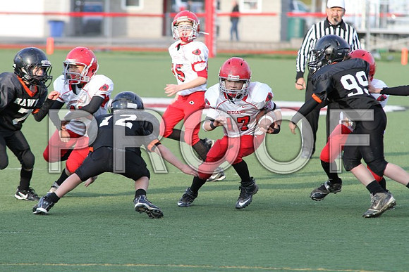 IMG_0408 (Small)