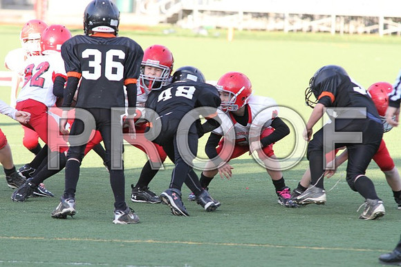 IMG_0412 (Small)
