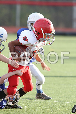 IMG_2645 (Large)