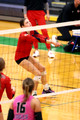 BHS VBall 2024