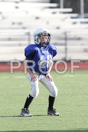 IMG_2649 (Large)
