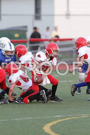 IMG_2865 (Large)